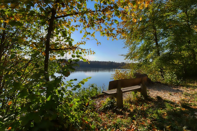 天空：纽卡对谢什科报价8000万欧+浮动，曼联不想卷入竞价战